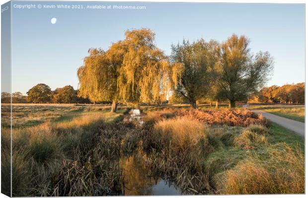 Morning moon in autumn Canvas Print by Kevin White