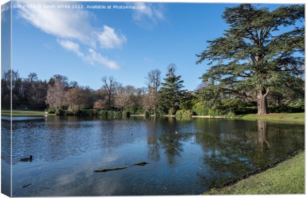 Winter sunshine at Claremont gardens and lake Canvas Print by Kevin White