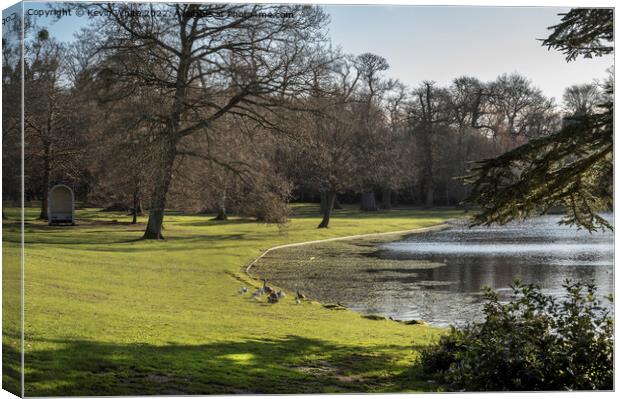 Birds and lake at Claremont Gardens Esher Canvas Print by Kevin White