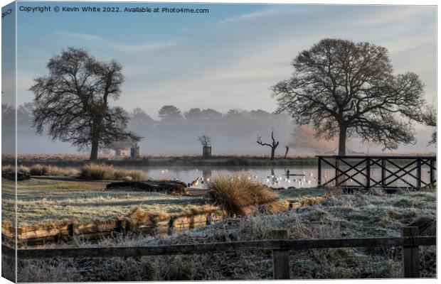 January frost sun and mist Canvas Print by Kevin White