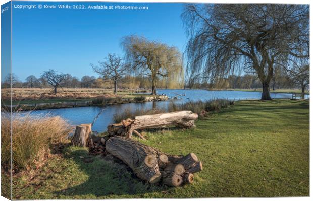 Natural log seat Canvas Print by Kevin White