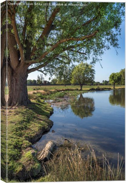 Early summer walk through Bushy Park Canvas Print by Kevin White