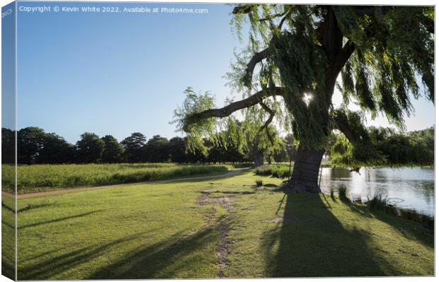 Shadows from the willow tree Canvas Print by Kevin White