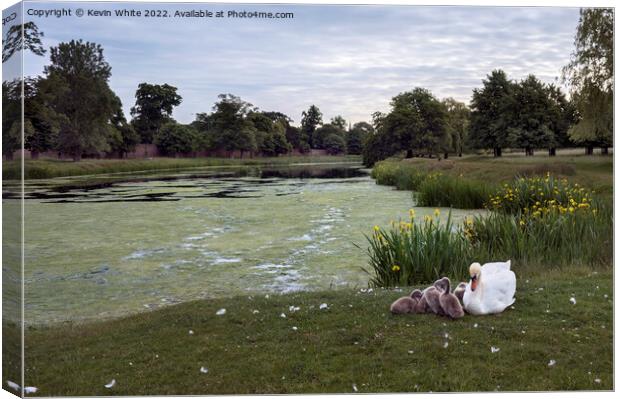 Hampton Wick pond in Home Park Canvas Print by Kevin White