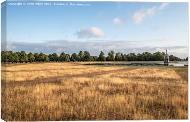 Long dry grass at Diana fountain in Bushy Park Canvas Print by Kevin White