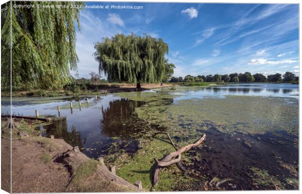 Boat and Heron pond meeting point Canvas Print by Kevin White