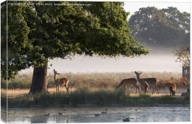 Breakfast is a challenge Canvas Print by Kevin White