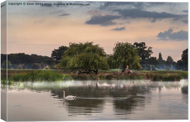 Dawn wildlife at ponds in Bushy Park Canvas Print by Kevin White