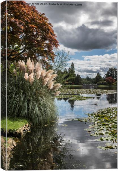 Sheffield Park  Canvas Print by Kevin White