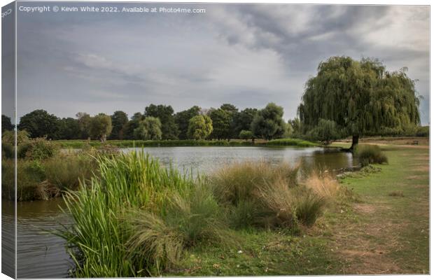 Bushy Park at start of autumn Canvas Print by Kevin White