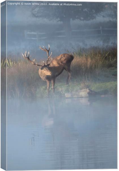 Stag drinking in the mist Canvas Print by Kevin White