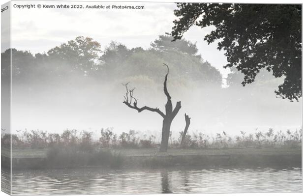 Simply mist Canvas Print by Kevin White