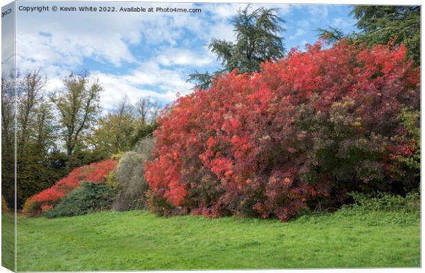 The beauty of autumn colours Canvas Print by Kevin White