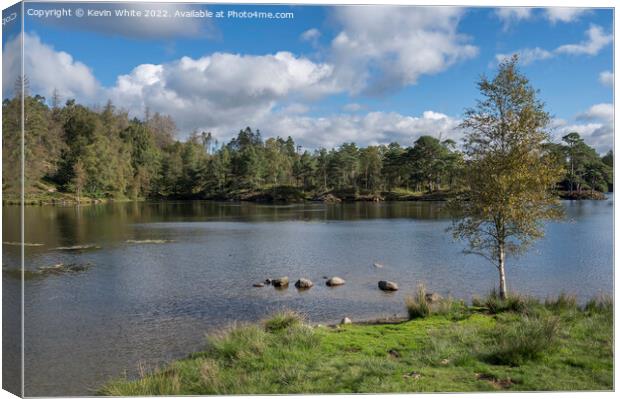 Tarn Hows view from near car park Canvas Print by Kevin White