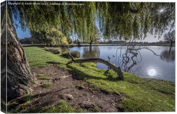 Under the shade of the willow tree Canvas Print by Kevin White