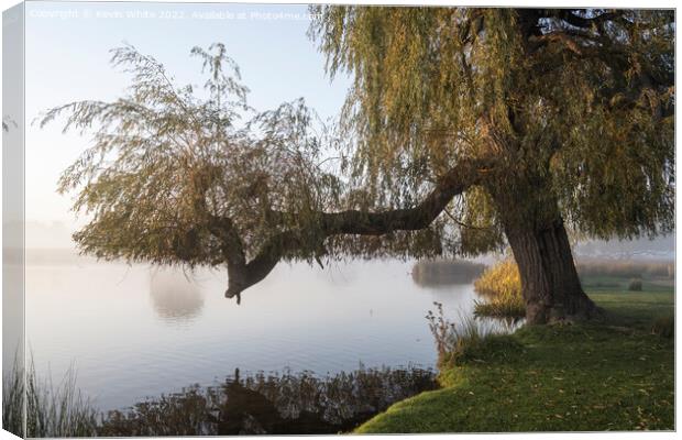 End of summer for Willow tree Canvas Print by Kevin White