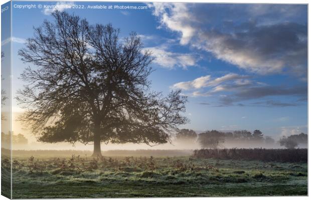 Greeted with a frosty sunrise Canvas Print by Kevin White