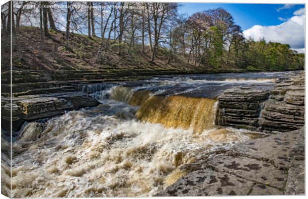 The mighty Aysgarth falls Yorkshire Dales Canvas Print by Kevin White
