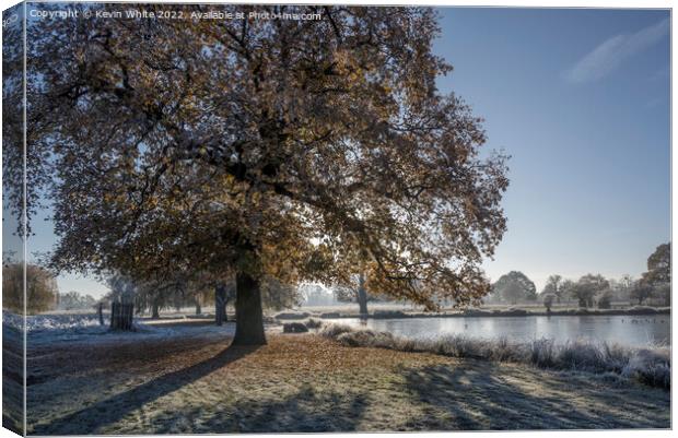 Morning December frost at Bushy Park Surrey Canvas Print by Kevin White