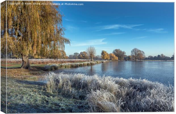 Icy December view with pond and weeping willow tree Canvas Print by Kevin White