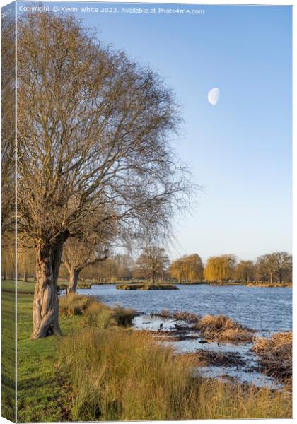 Half moon over Heron pond Bushy Park Canvas Print by Kevin White