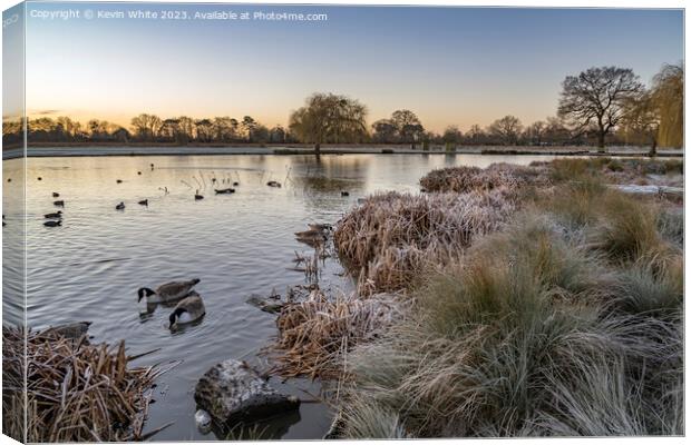 Cold January morning at Bushy Park  Canvas Print by Kevin White