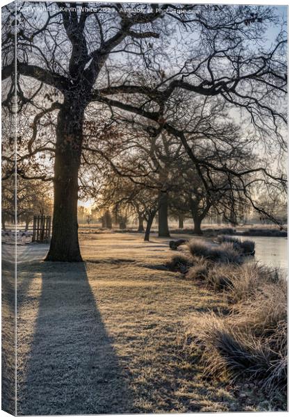Long winter shadows on a cold frosty morning Canvas Print by Kevin White