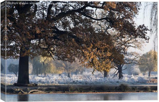 Morning frost mist and sunshine in December Canvas Print by Kevin White