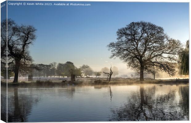 Morning misty sunshine in April Canvas Print by Kevin White