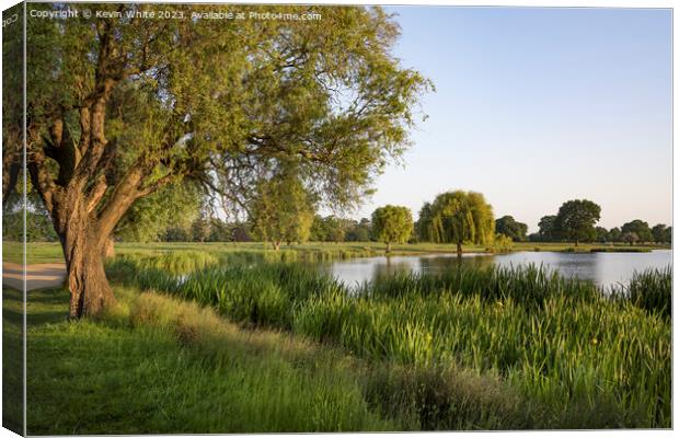 Sunsetting light hitting the tree and reeds on pond Canvas Print by Kevin White