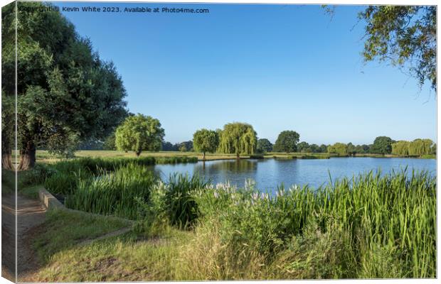 Clear blue skies at Bushy Park Surrey Canvas Print by Kevin White