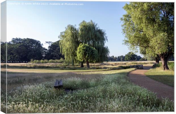Cycle and walking path mid summer at Bushy Park in Surrey Canvas Print by Kevin White