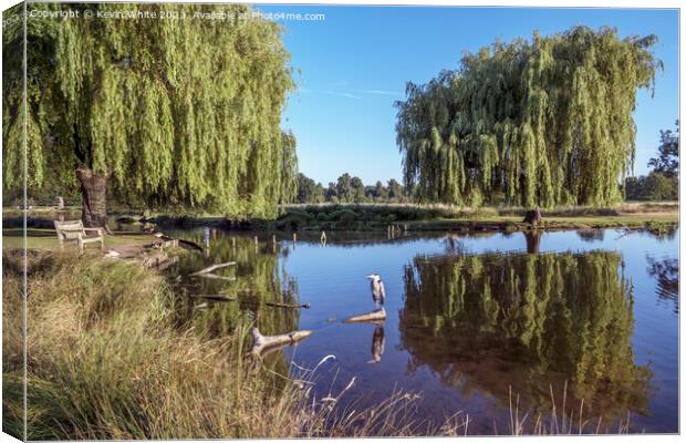 Living paradise in Surrey parks Canvas Print by Kevin White