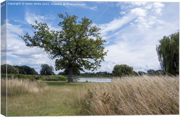 Path through the long grass at Bushy Park Canvas Print by Kevin White