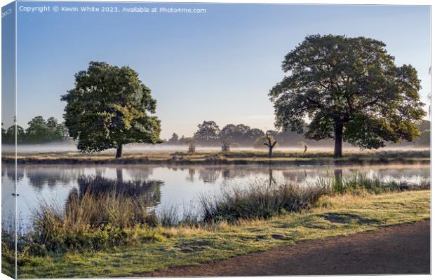 Freshness of an early morning walk Canvas Print by Kevin White