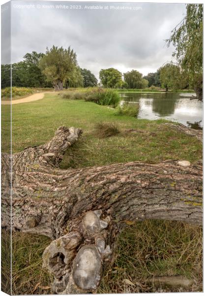 Walk and cycle path with natural log seat Canvas Print by Kevin White