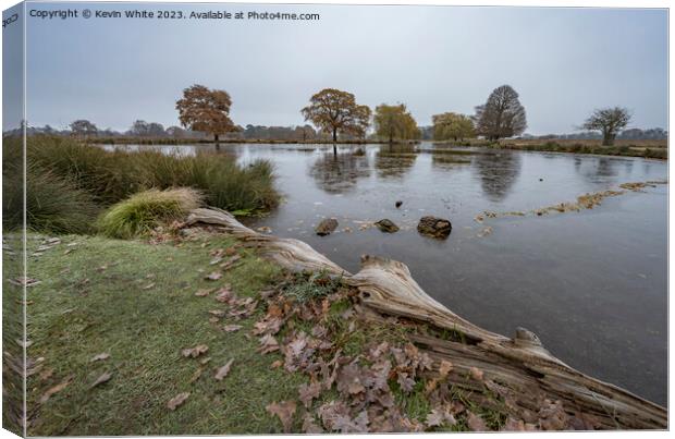 Wintery dawn by local ponds in Surrey Canvas Print by Kevin White