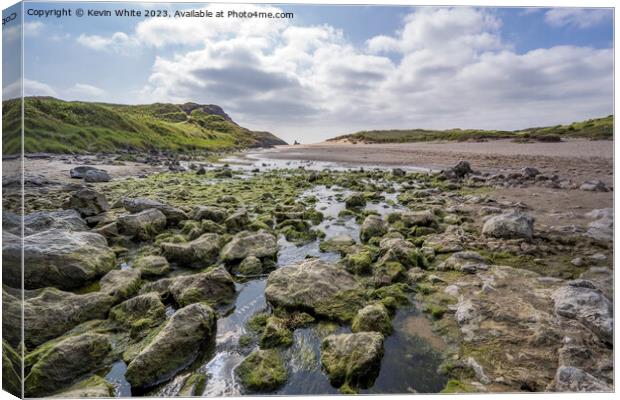 Mossy rocks on Broad Haven beach South Pembrokeshire Canvas Print by Kevin White