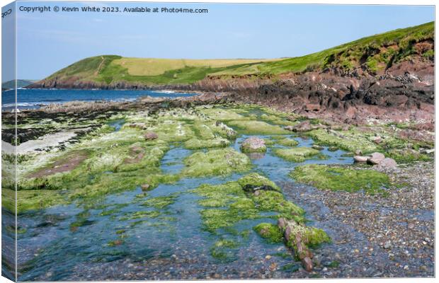 Mossy rocks on edge of Manorbier beach Pembrokeshire Canvas Print by Kevin White