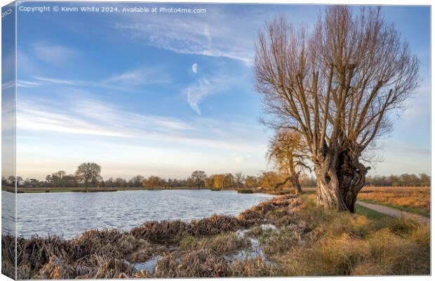 Half moon early January morning at Bushy Park Canvas Print by Kevin White