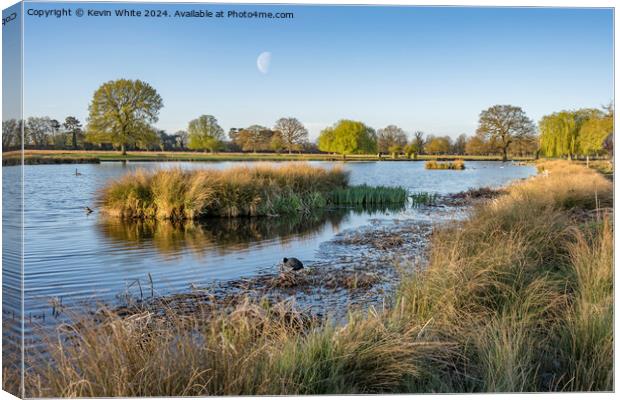 Half moon and early morning sunshine Canvas Print by Kevin White