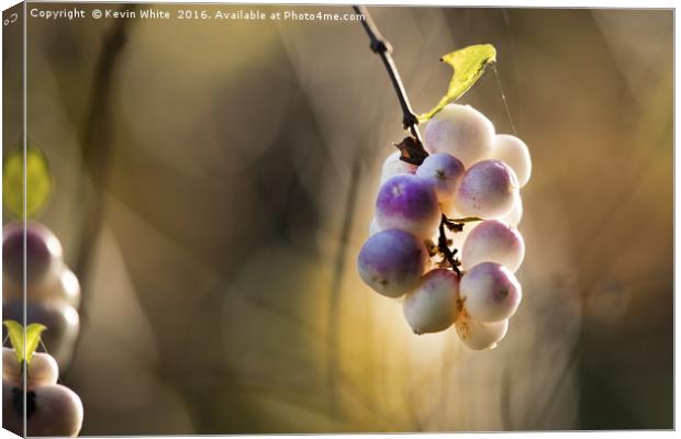Wild berries Canvas Print by Kevin White