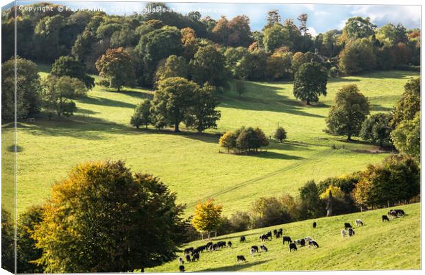 Typical English countryside Canvas Print by Kevin White