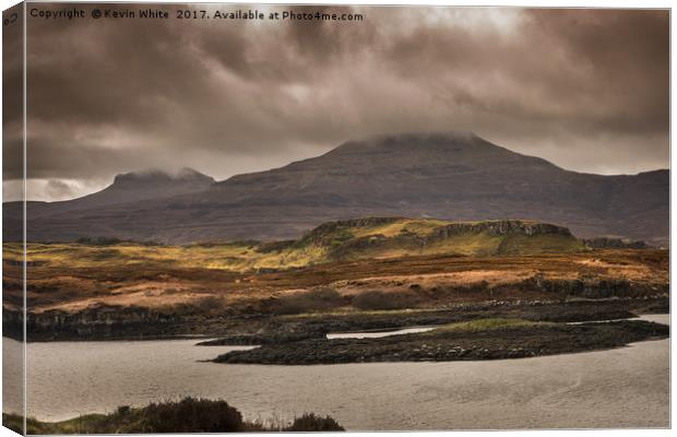 seal colony near Dunvegan Canvas Print by Kevin White