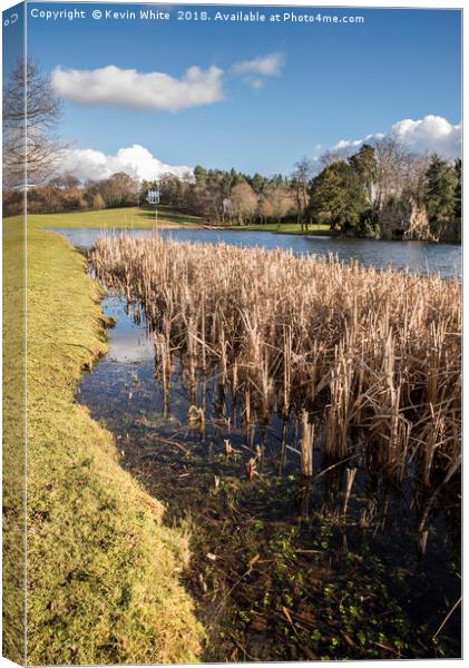 Springtime at the reed beds Canvas Print by Kevin White