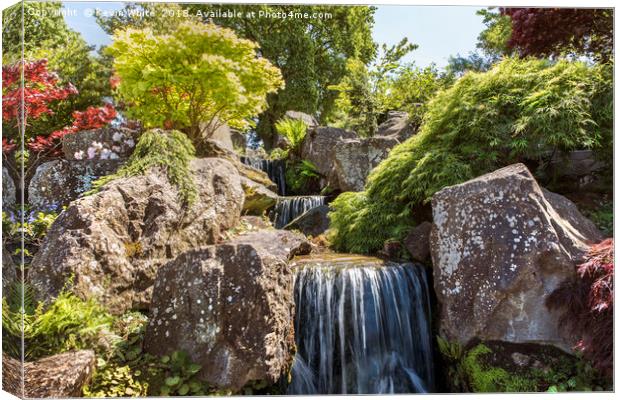 English garden waterfall Canvas Print by Kevin White