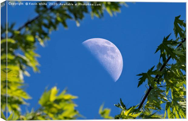 daylight half moon Canvas Print by Kevin White