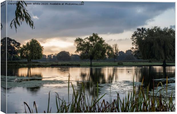 Early morning view at Bushy Park Canvas Print by Kevin White