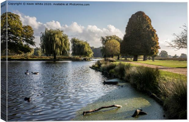 Early morning stroll in Bushy Park Canvas Print by Kevin White