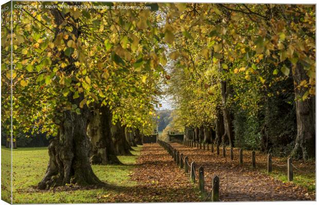 Polesden Lacey autumn walk Canvas Print by Kevin White